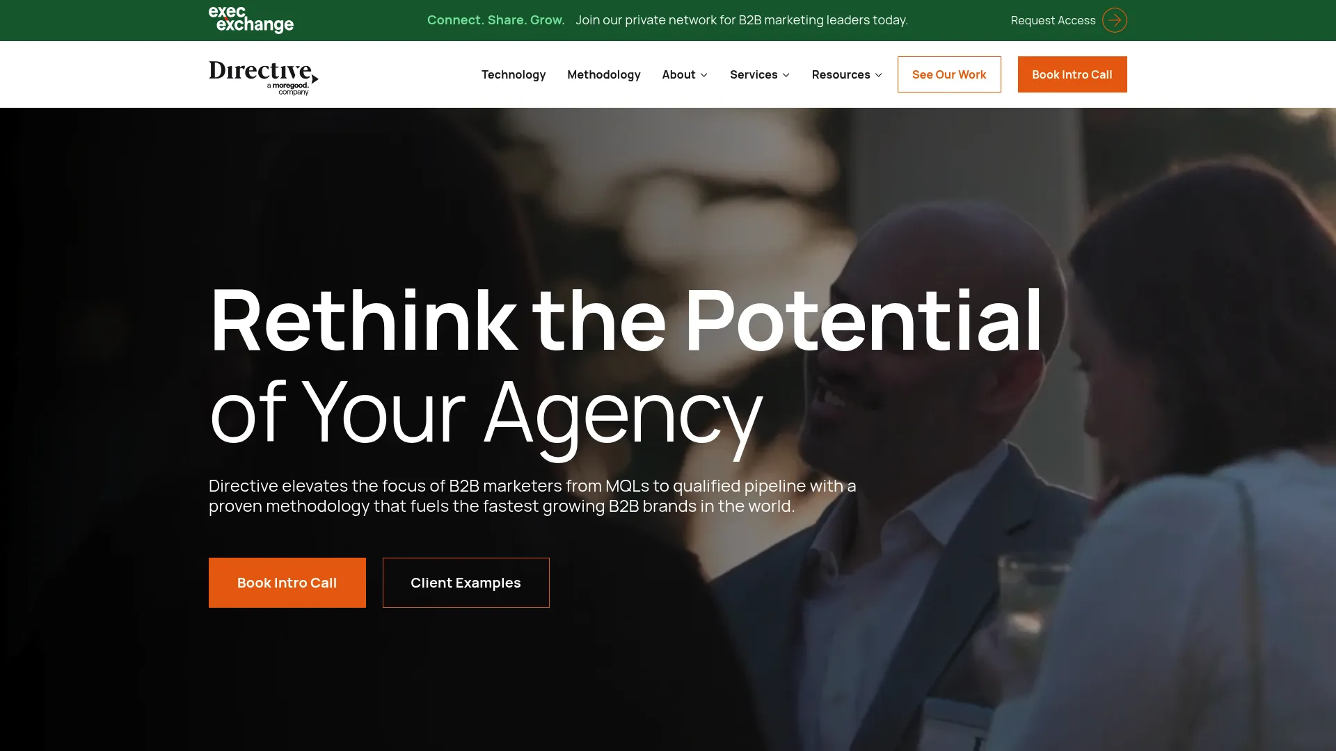 screenshot of directiveconsulting.com