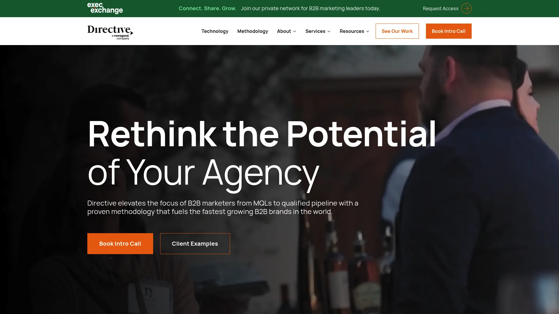 screenshot of directiveconsulting.com