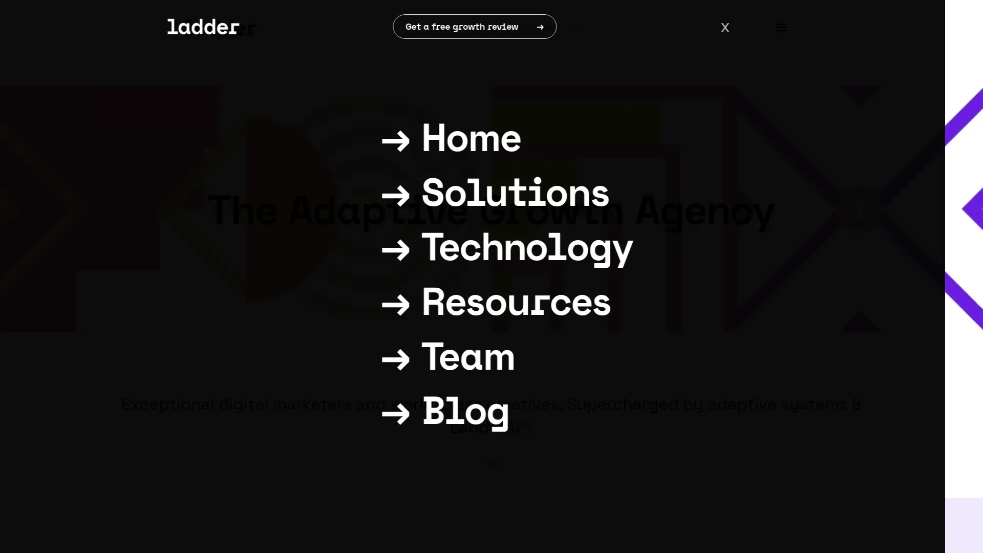 screenshot of ladder.io