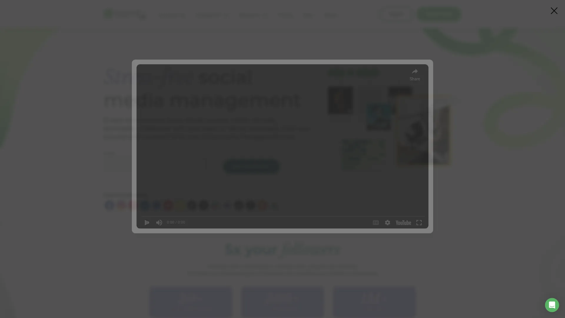 Loomly content optimization interface