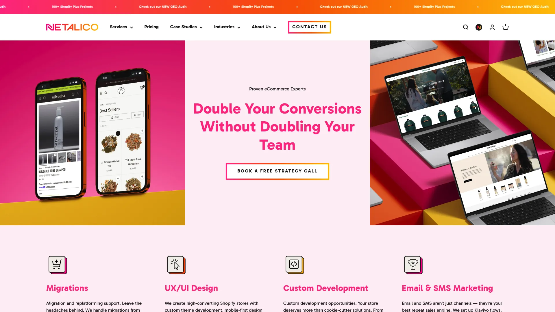 Screenshot of netalico.com