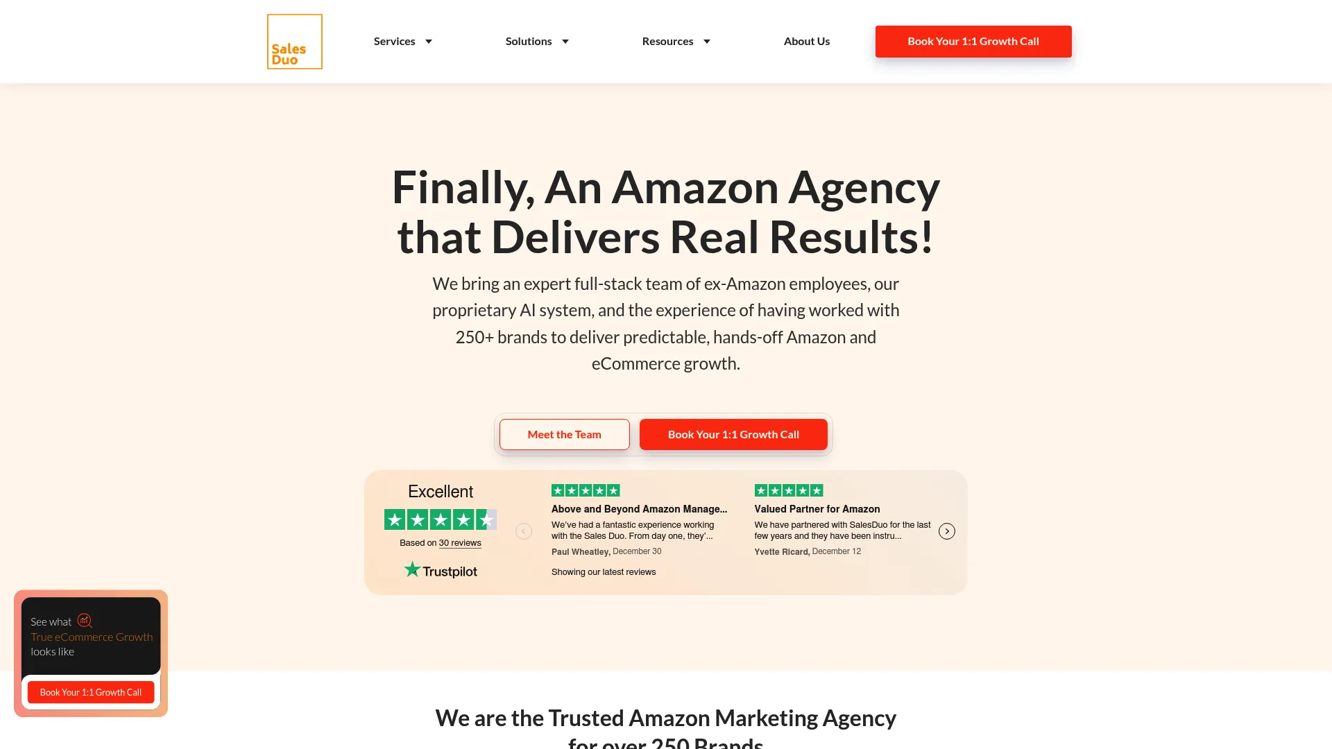 Screenshot of SalesDuo