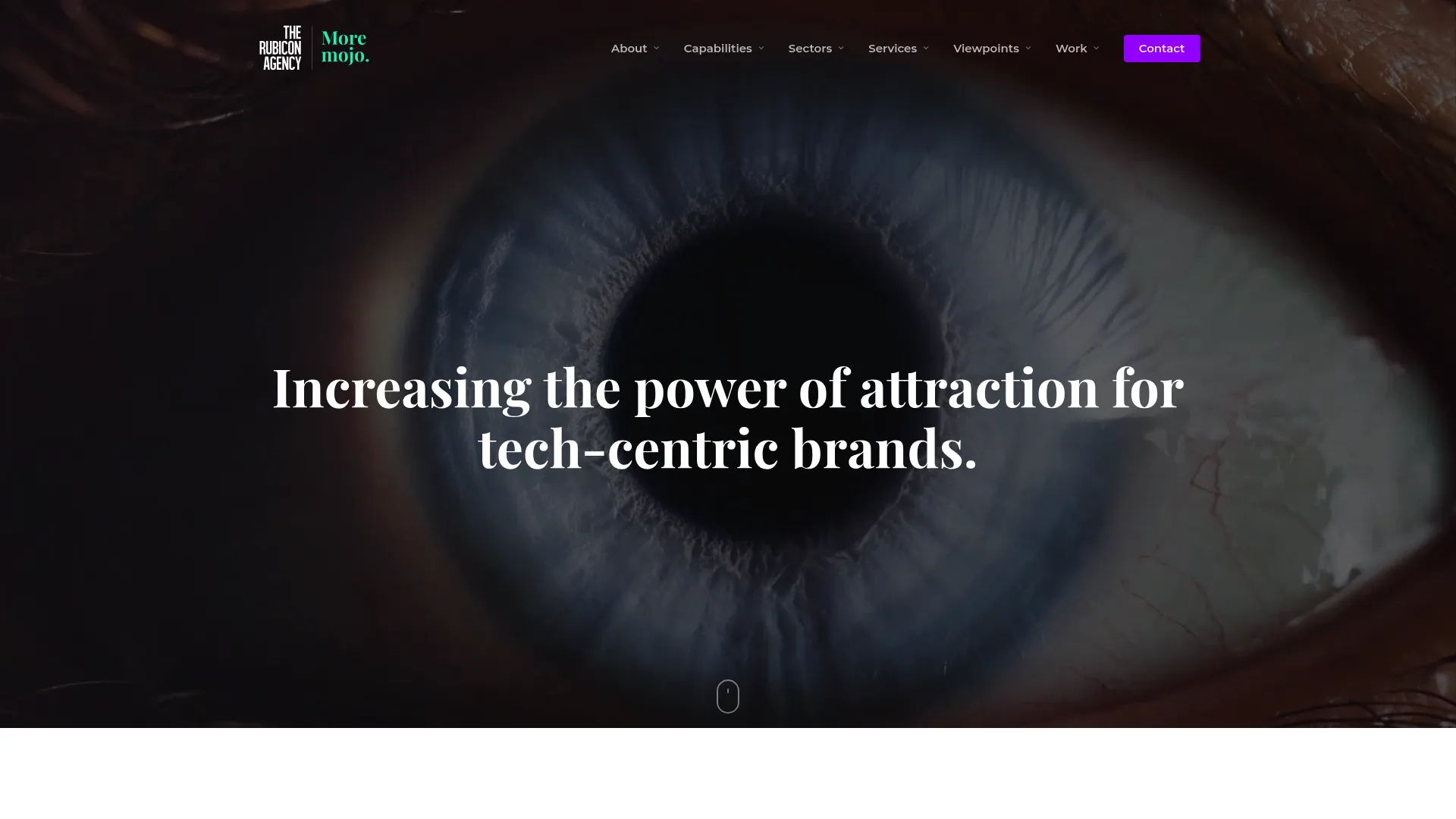 screenshot of therubiconagency.com