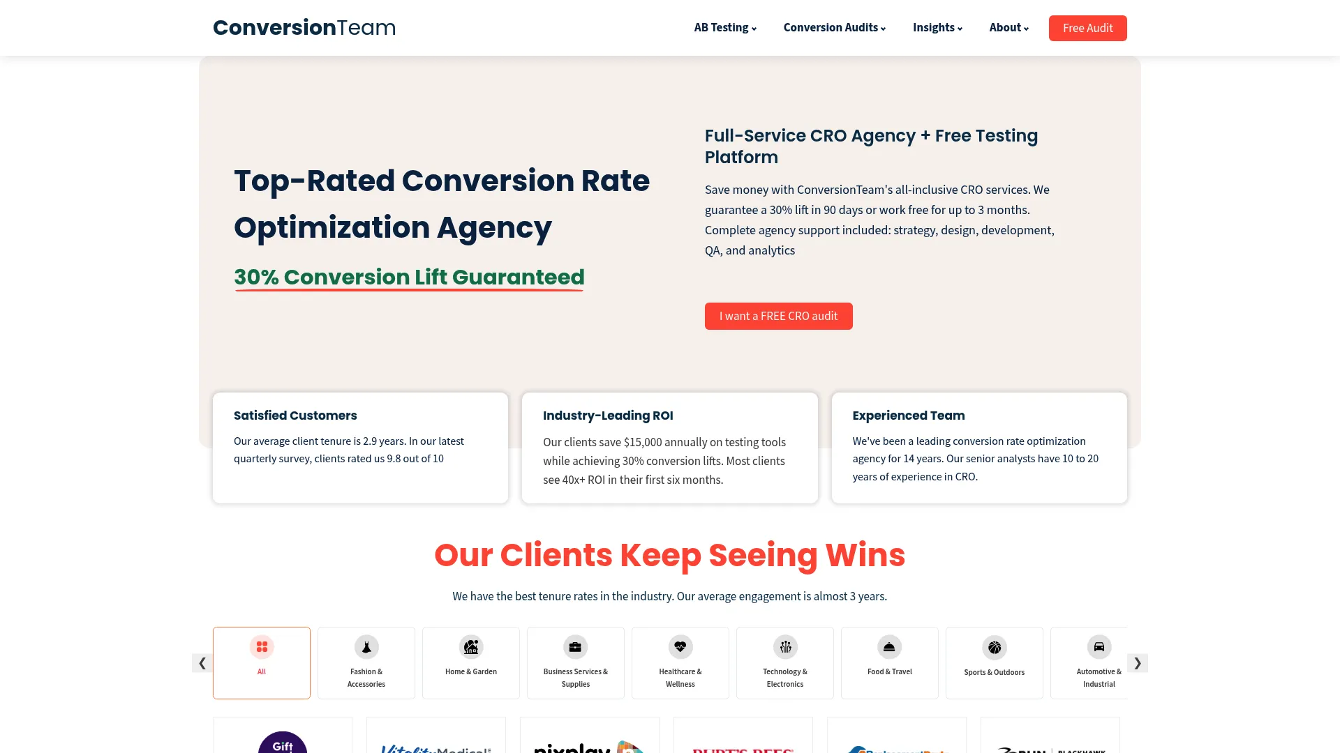 Screenshot of conversionteam.com