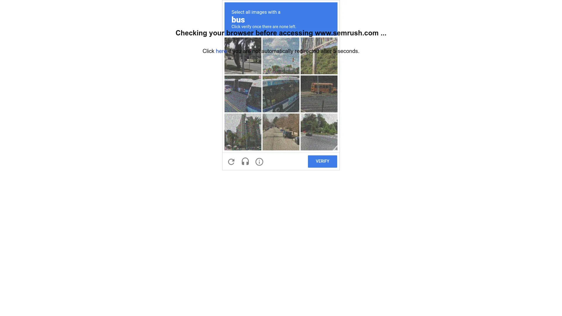 Semrush enterprise SEO dashboard
