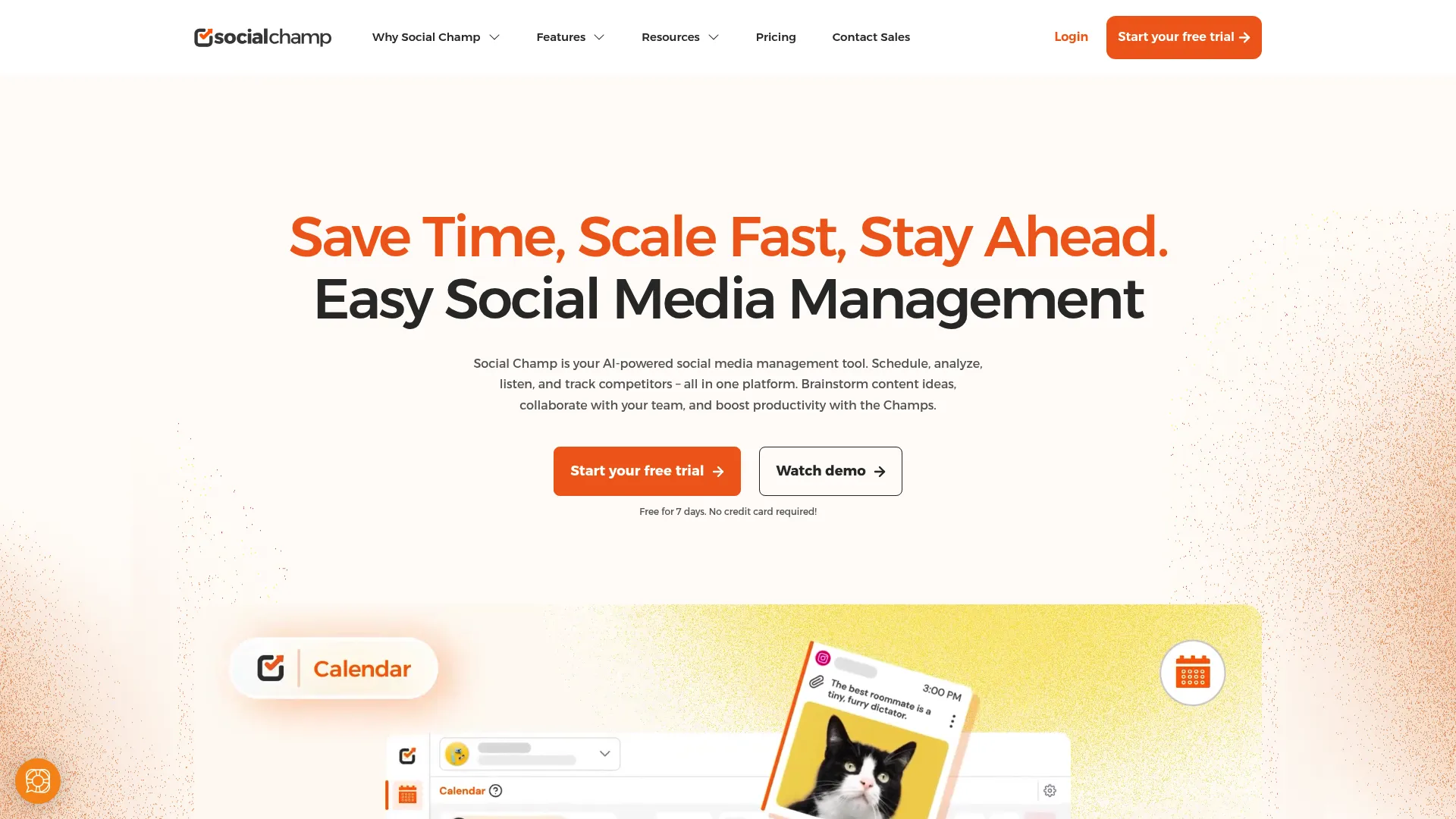 Social Champ bulk scheduling interface