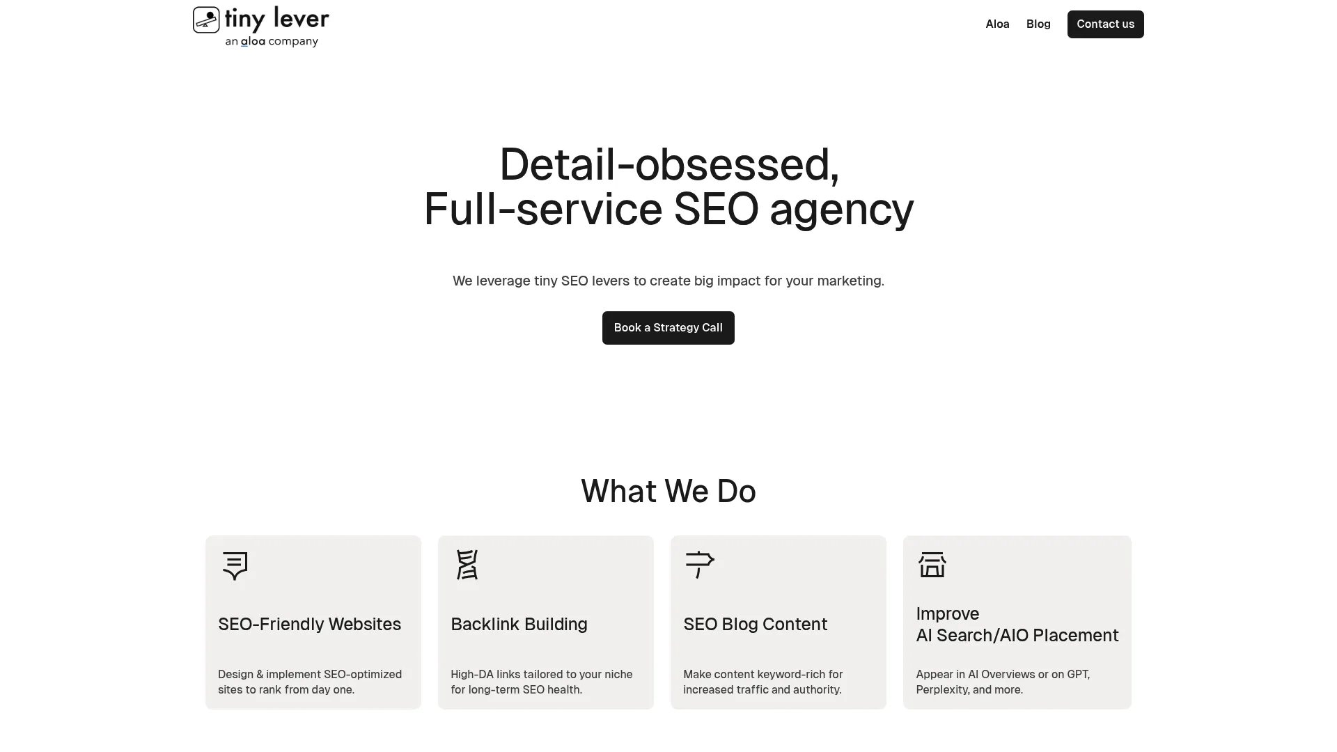 screenshot of tinylevermarketing.com